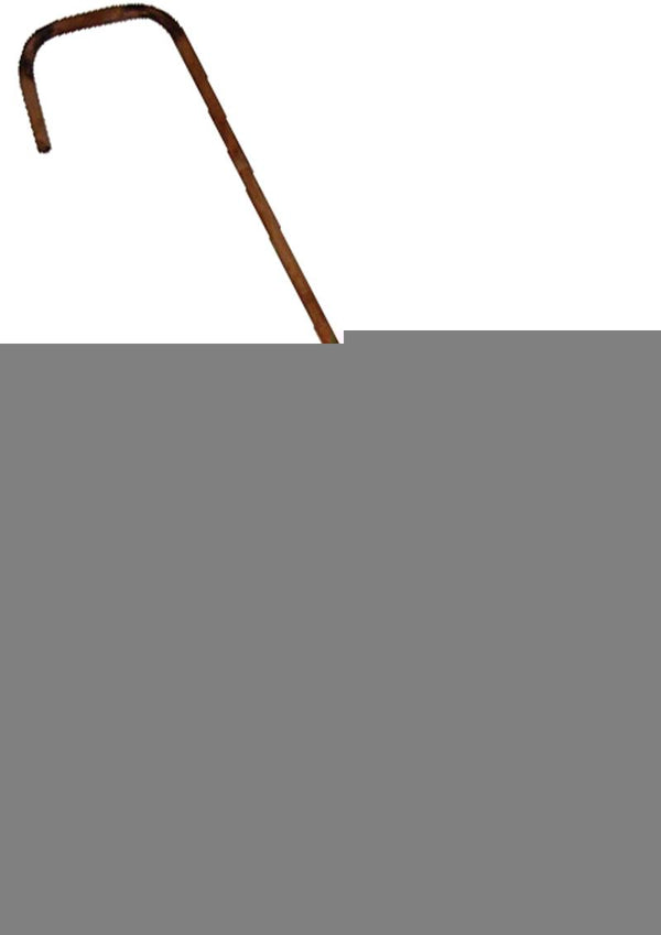 Rouge Bamboo Cane - Brown - 29in